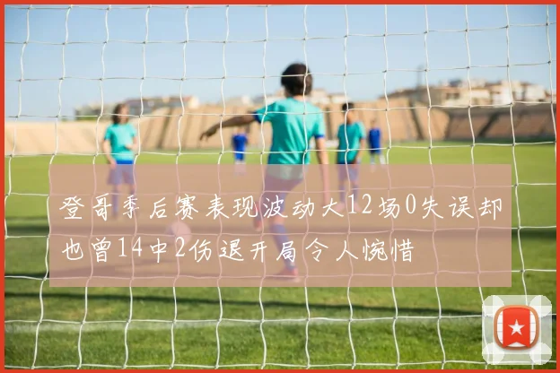 登哥季后赛表现波动大12场0失误却也曾14中2伤退开局令人惋惜