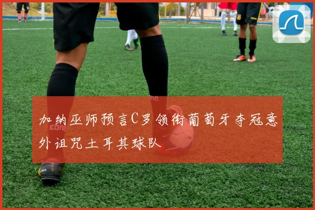 加纳巫师预言C罗领衔葡萄牙夺冠意外诅咒土耳其球队
