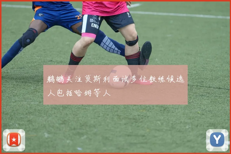 鹈鹕关注莫斯利面试多位教练候选人包括哈姆等人